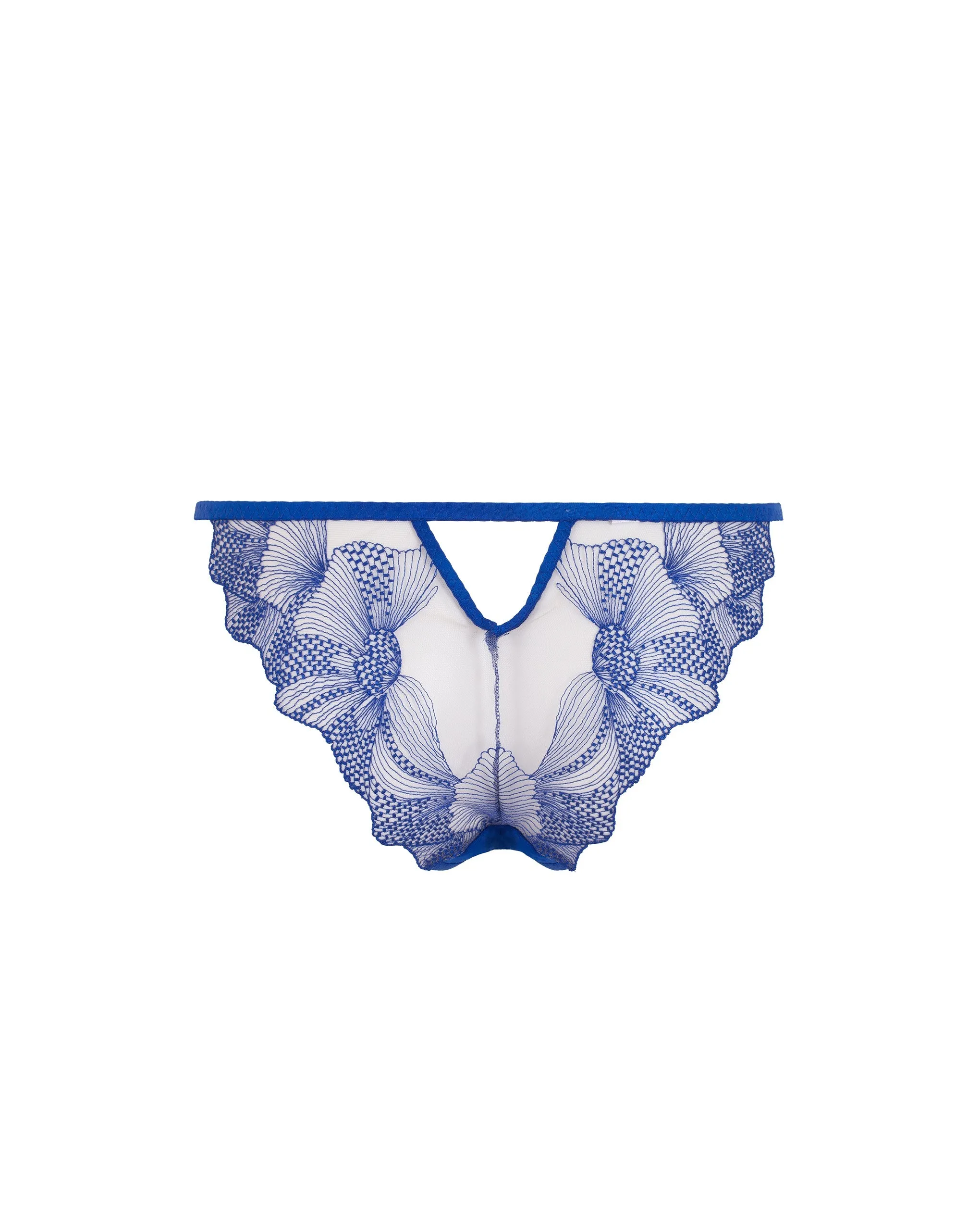 Adeline Panty Sheer/Surf the Web Blue