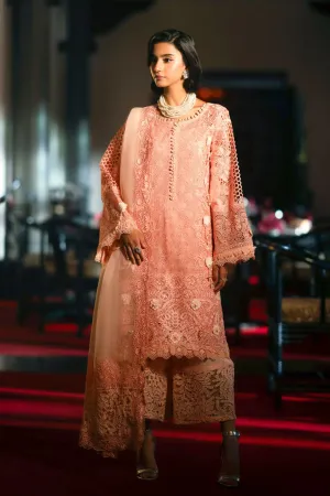 AJR Couture | Cutwork Edit'24 | Lucent