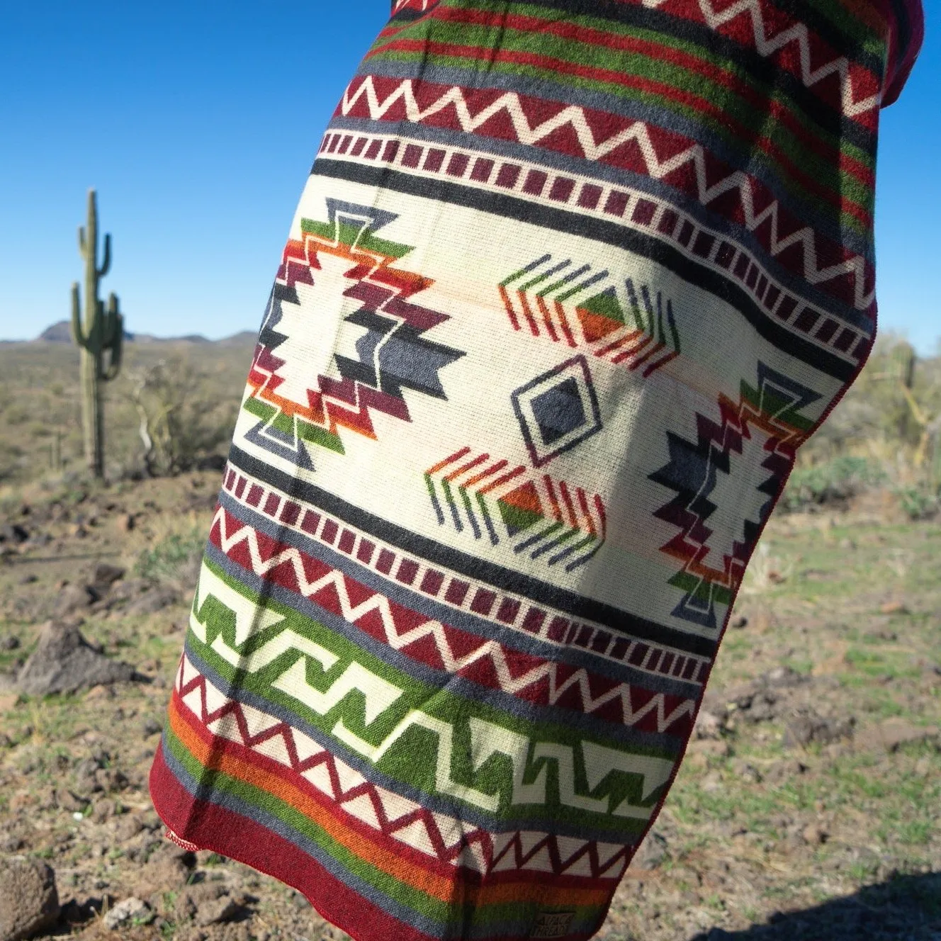 ALPACA RETRO (ECUADOR)