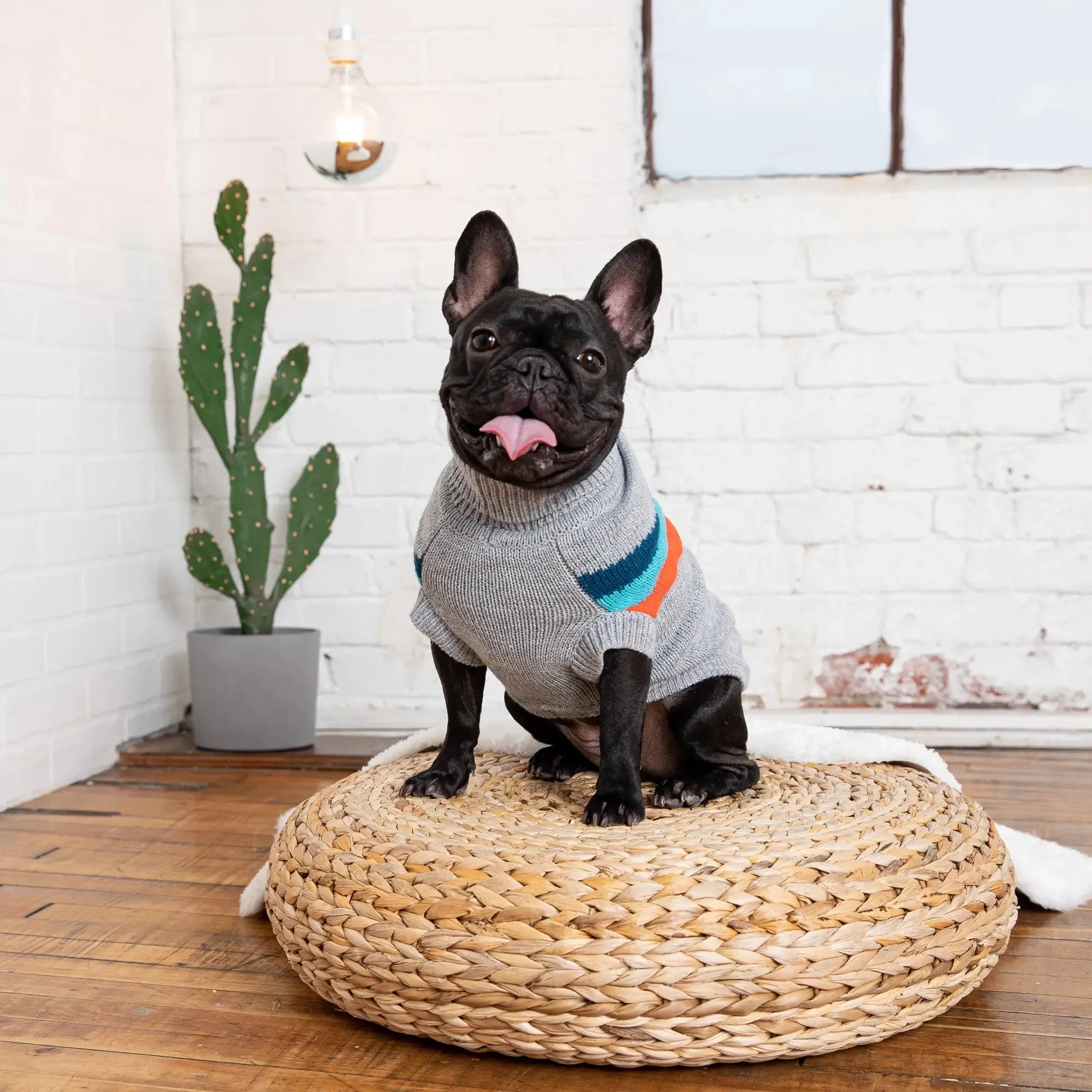 Alpine Dog Sweater | Grey Mix