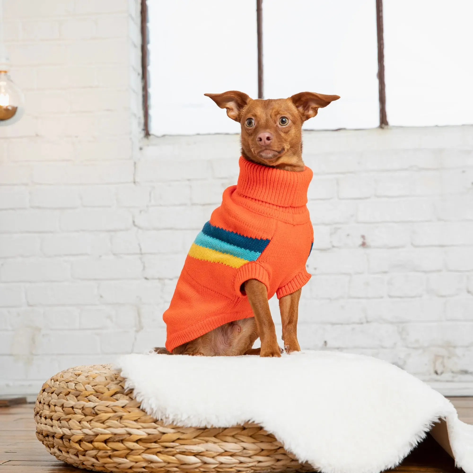 Alpine Dog Sweater | Orange