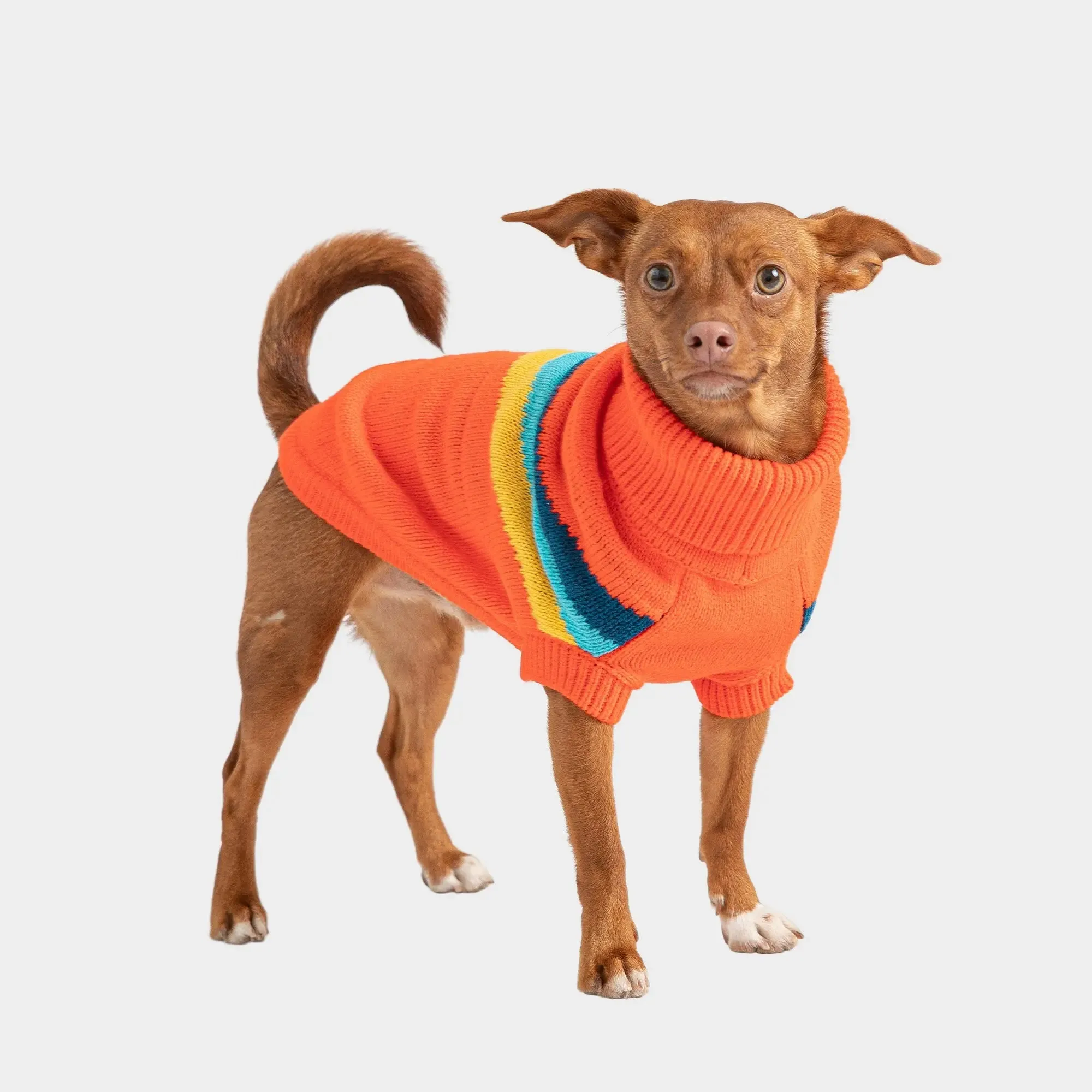 Alpine Dog Sweater | Orange