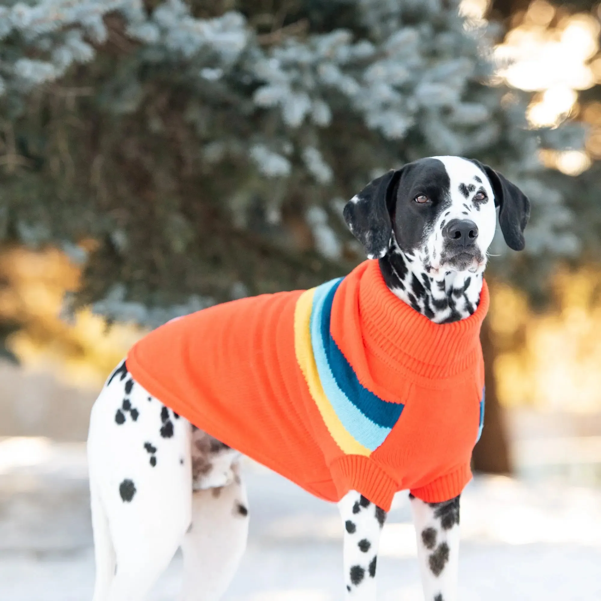 Alpine Dog Sweater | Orange