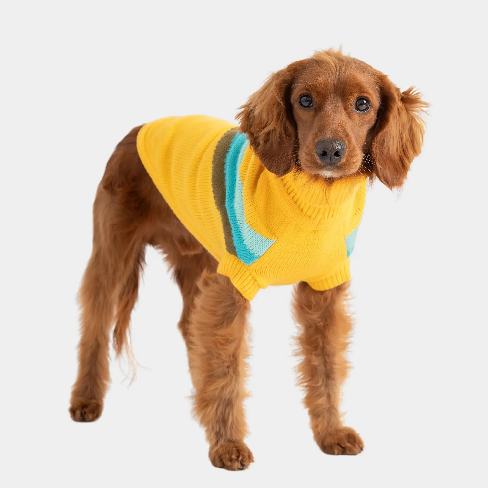 Alpine Dog Sweater | Yellow