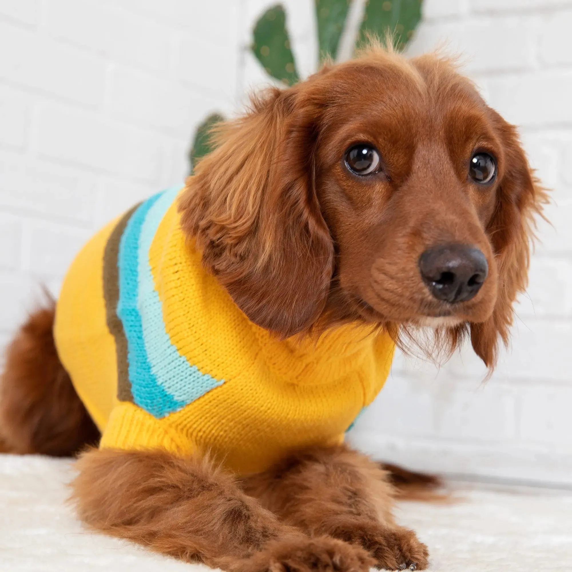 Alpine Dog Sweater | Yellow