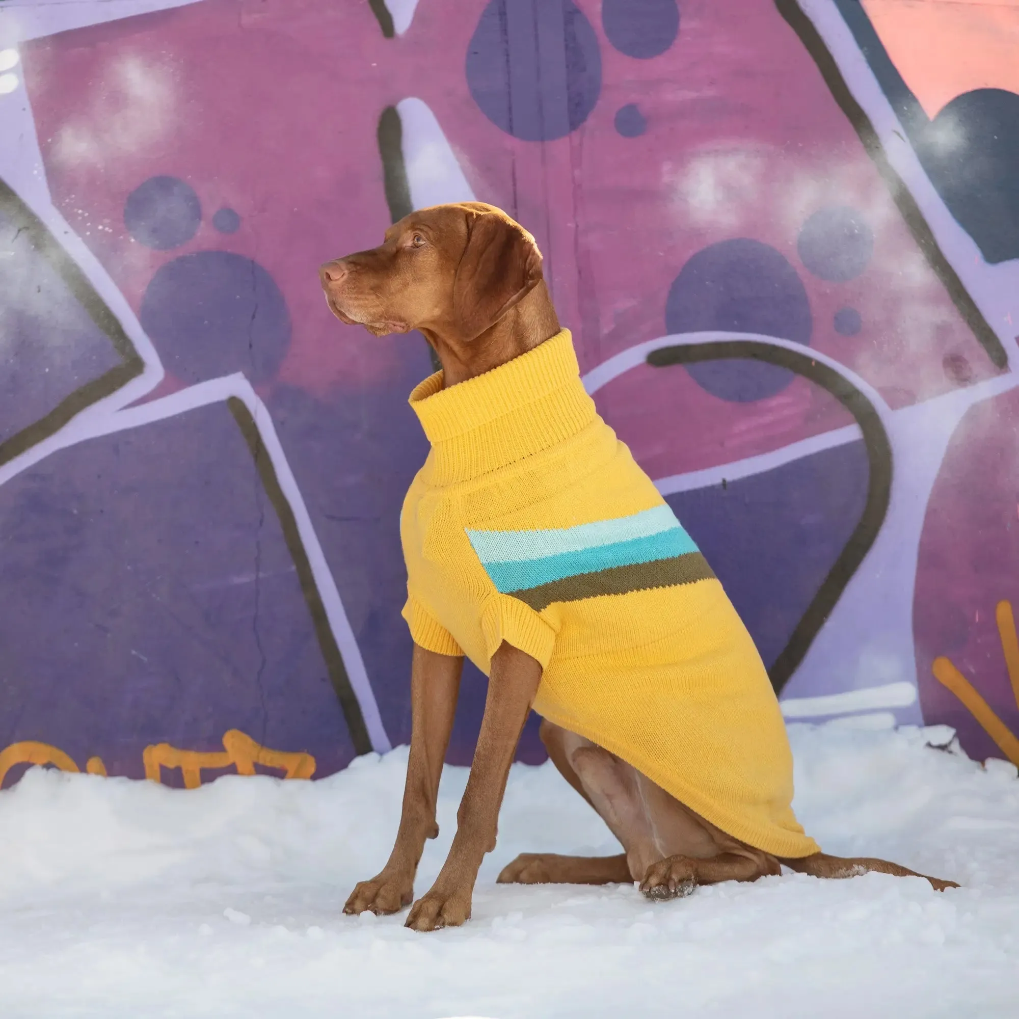 Alpine Dog Sweater | Yellow