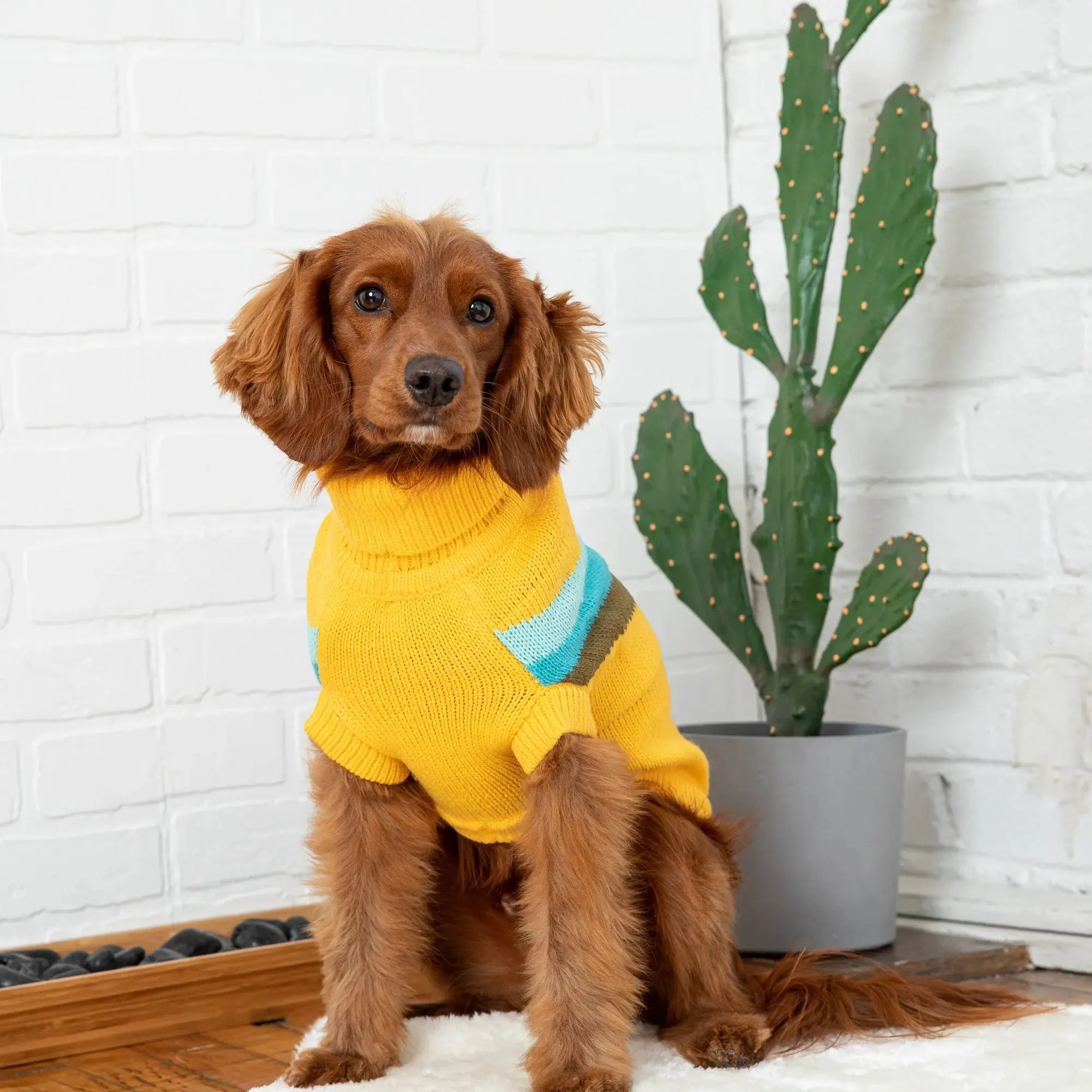 Alpine Dog Sweater | Yellow