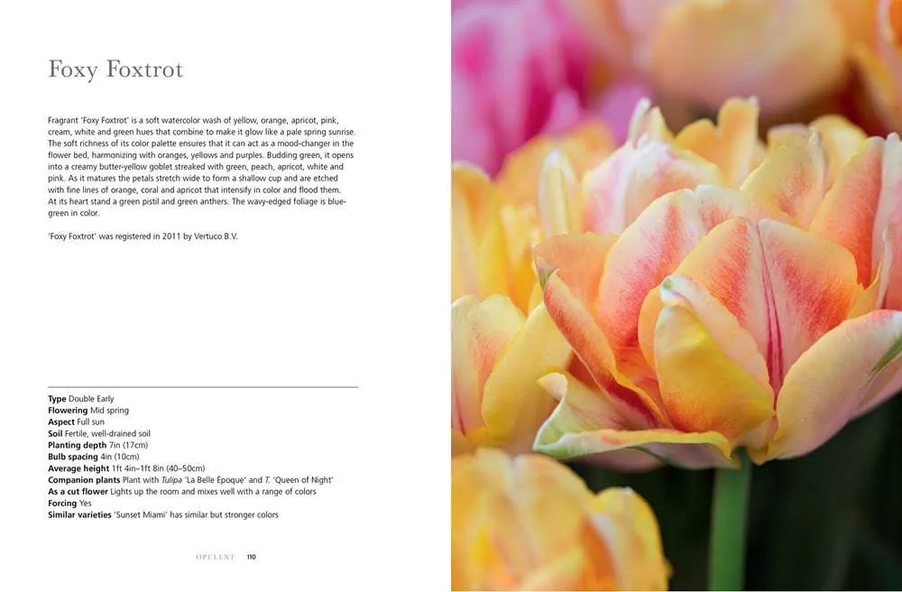 Book, Tulips: Beautiful Varieties for Home and Garden