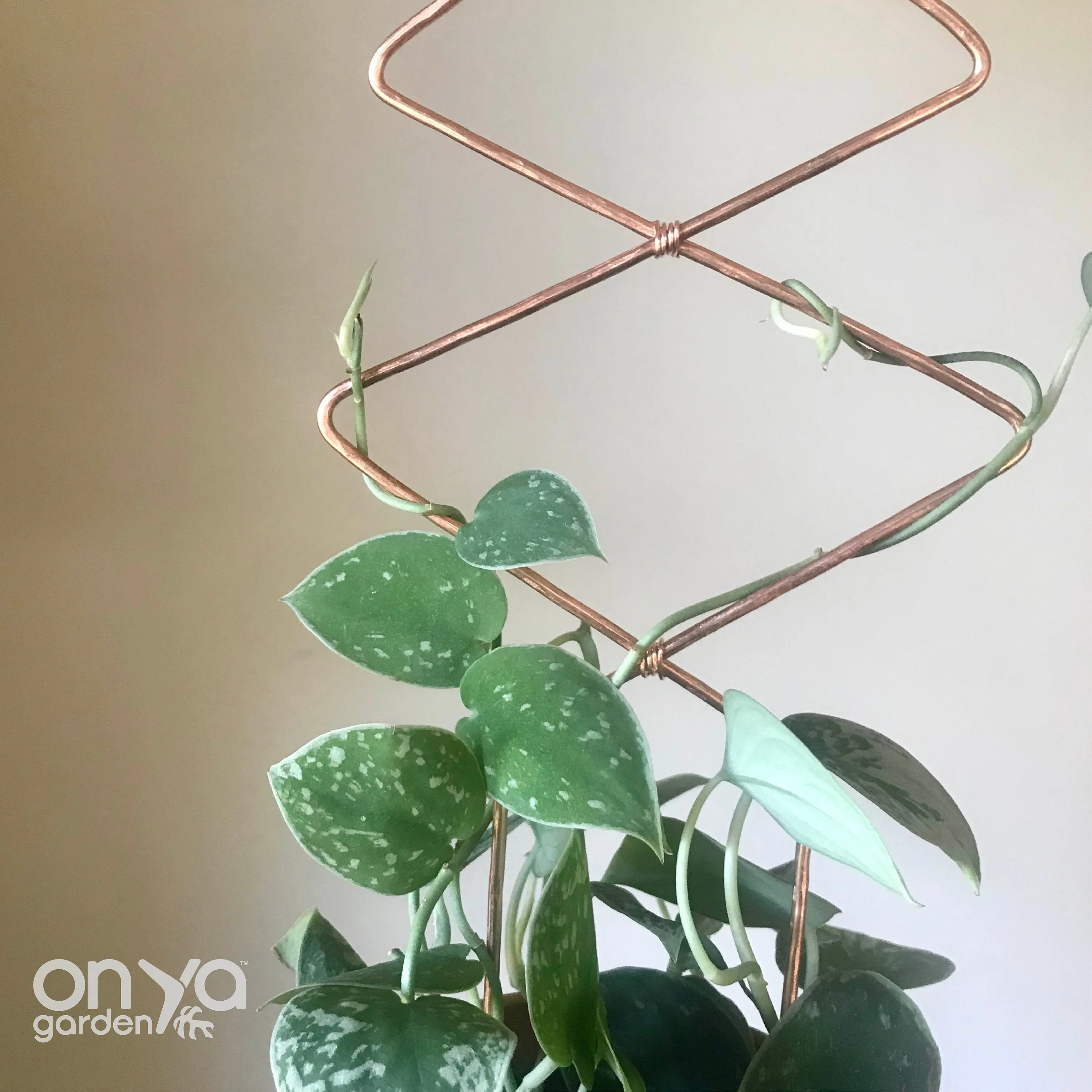 Copper Diamond Duo Plant Trellis, Decorative Plant Support