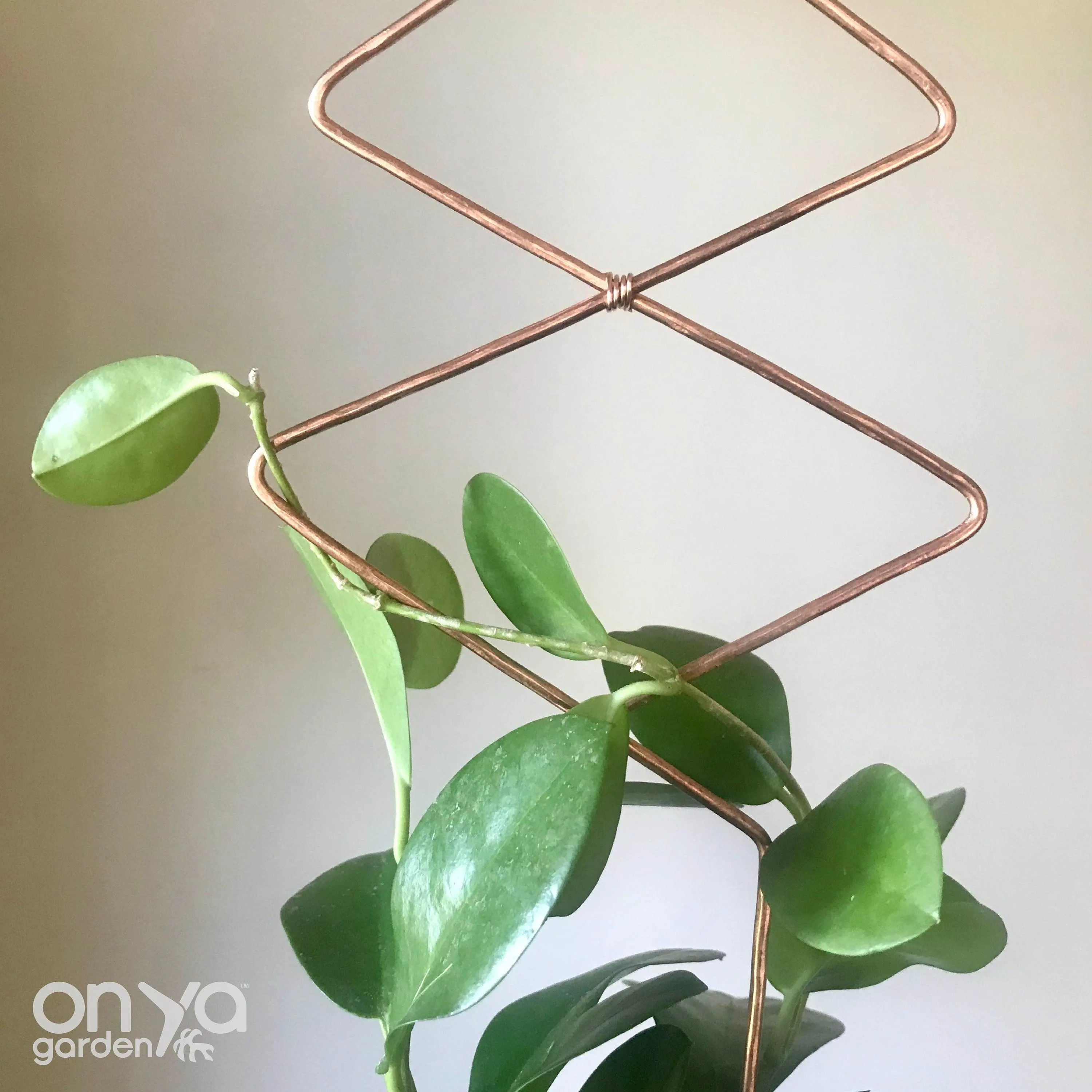 Copper Diamond Duo Plant Trellis, Decorative Plant Support