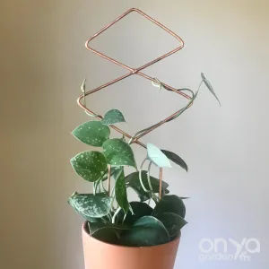 Copper Diamond Duo Plant Trellis, Decorative Plant Support