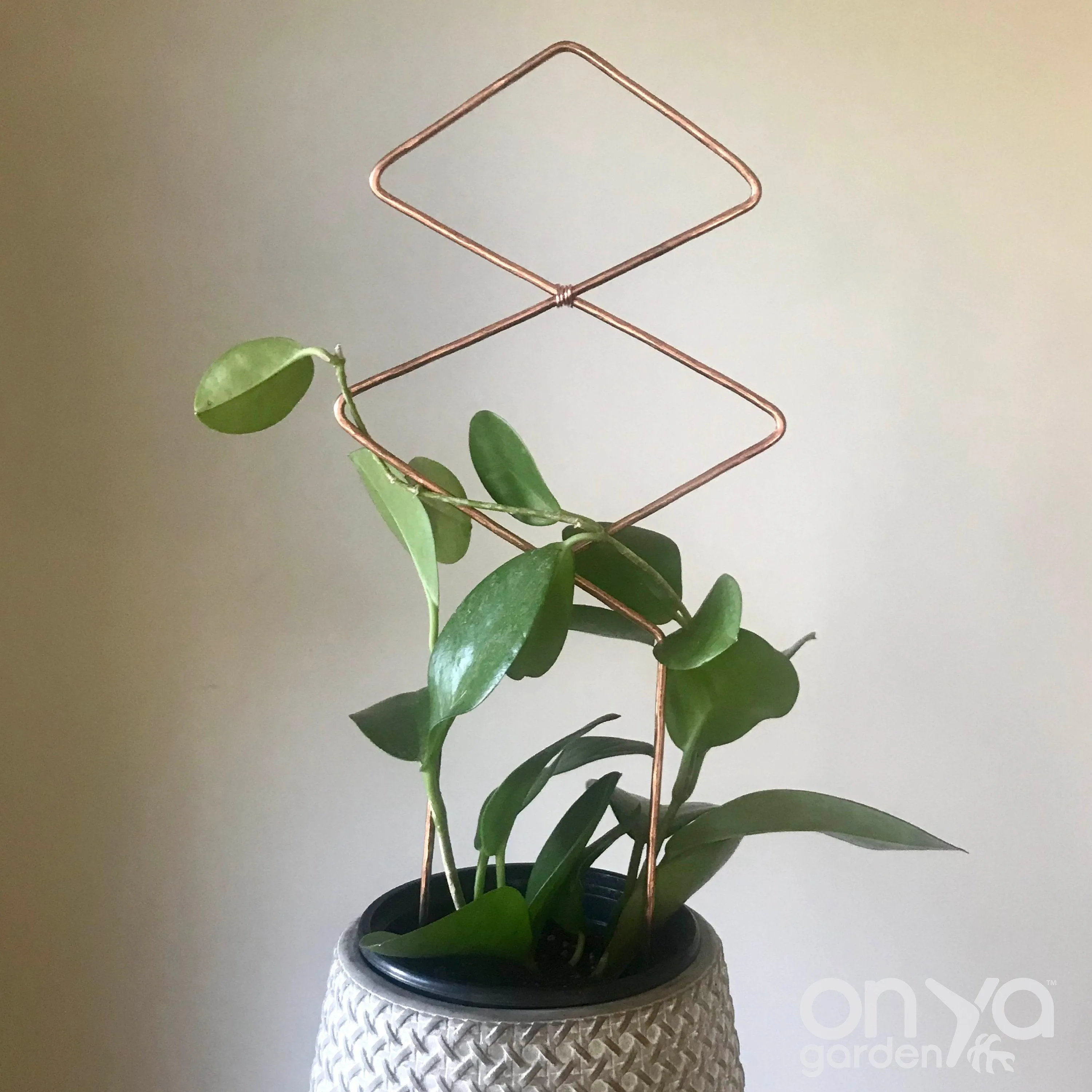 Copper Diamond Duo Plant Trellis, Decorative Plant Support