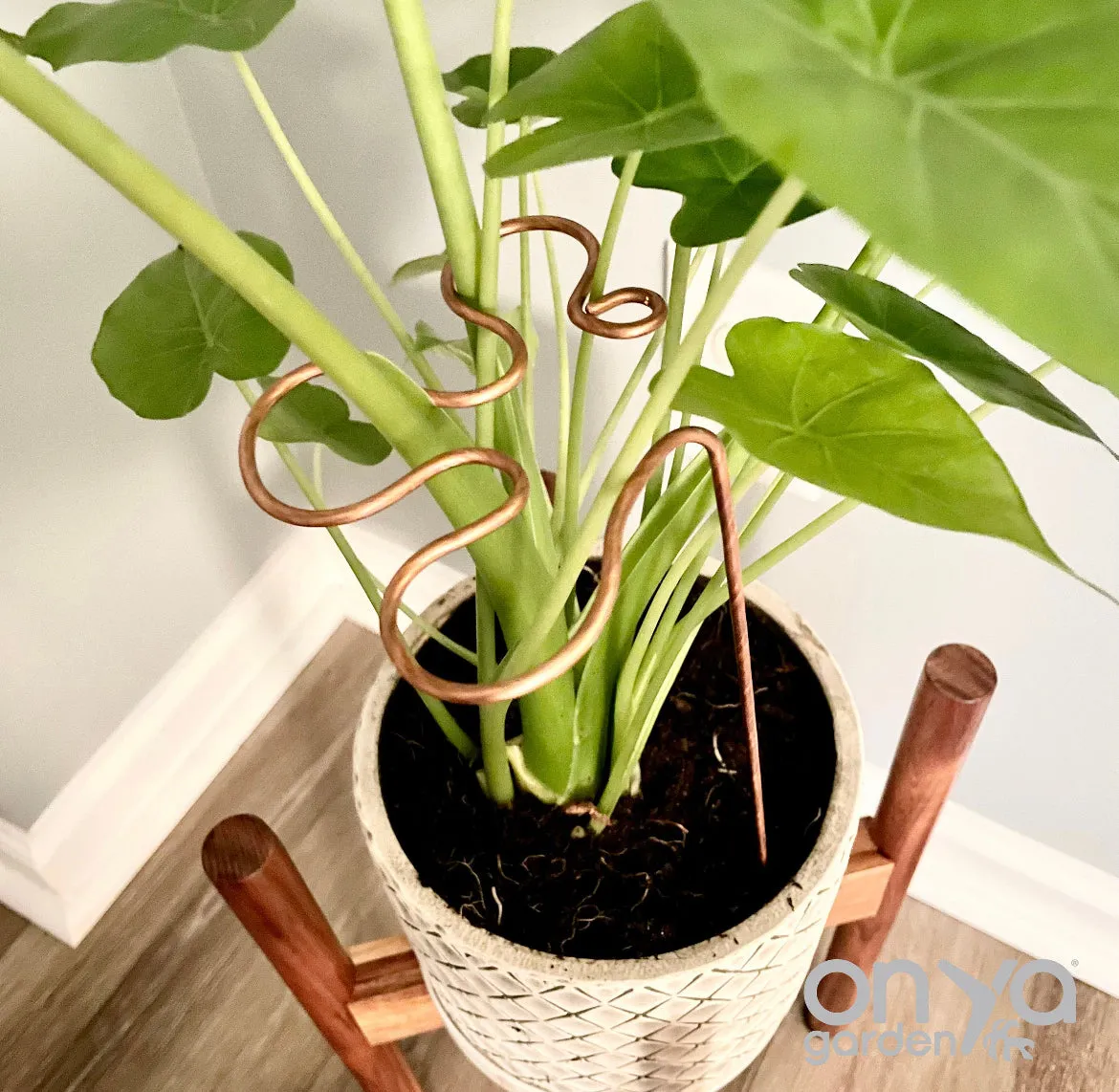 Copper Splash Plant Stick, Decorative Plant Stake, 3 Lengths