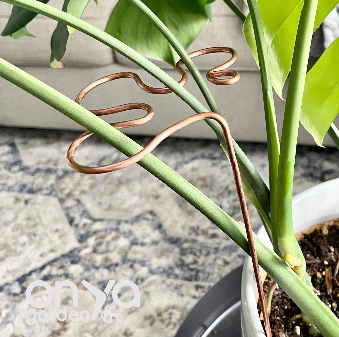 Copper Splash Plant Stick, Decorative Plant Stake, 3 Lengths