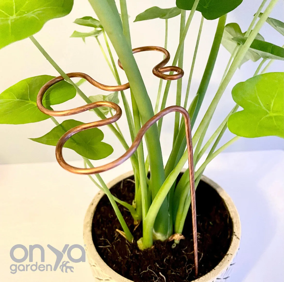 Copper Splash Plant Stick, Decorative Plant Stake, 3 Lengths