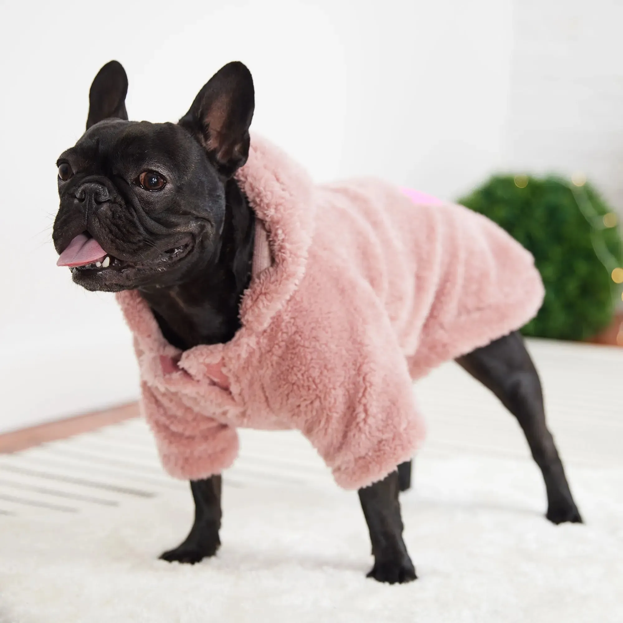 Cozy Dog Hoodie | Pink