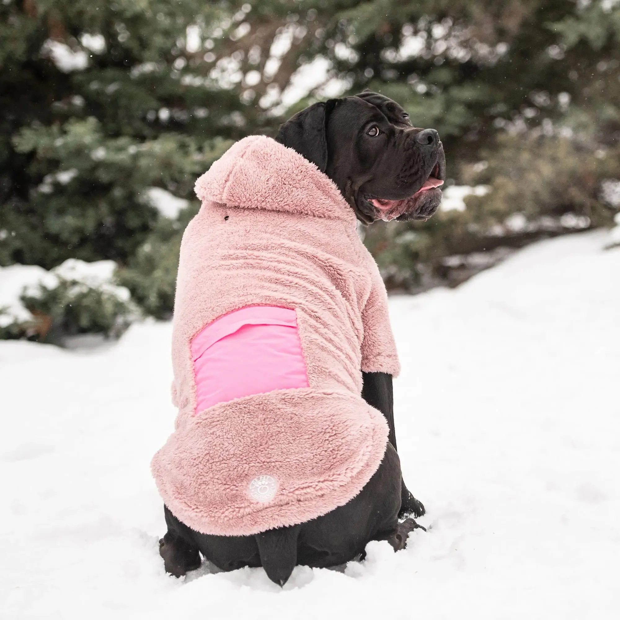 Cozy Dog Hoodie | Pink