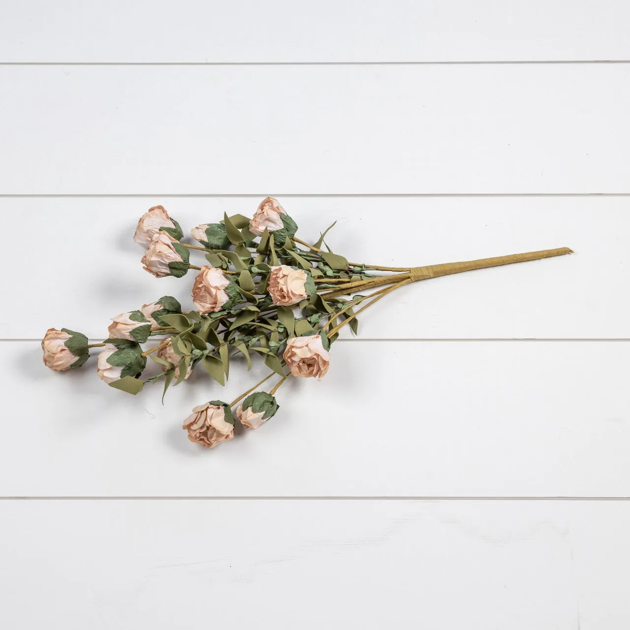 Cream Rose Bush