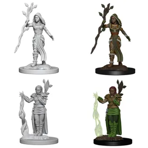 D&D Nolzurs Marvelous Unpainted Miniatures Human Female Druid