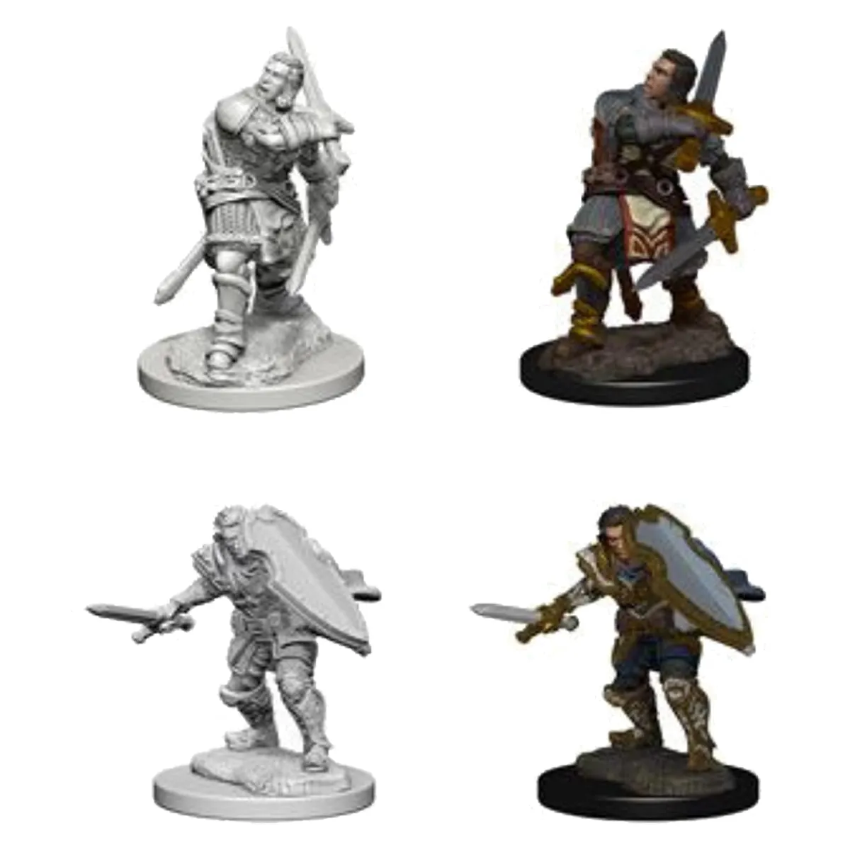 D&D Nolzurs Marvelous Unpainted Miniatures Human Male Paladin
