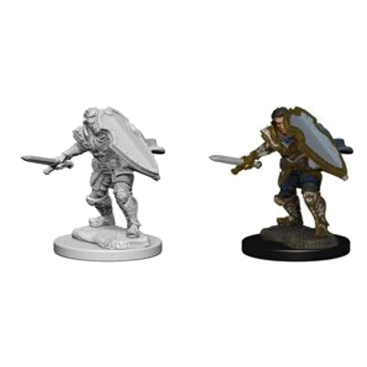 D&D Nolzurs Marvelous Unpainted Miniatures Human Male Paladin