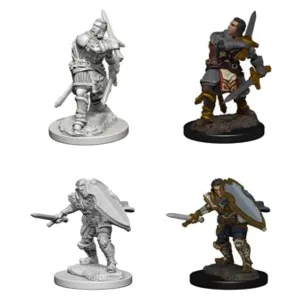 D&D Nolzurs Marvelous Unpainted Miniatures Human Male Paladin