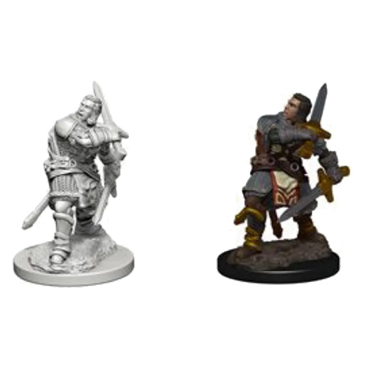 D&D Nolzurs Marvelous Unpainted Miniatures Human Male Paladin