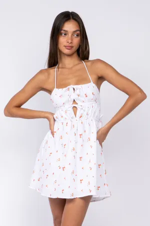 Lauren Dress