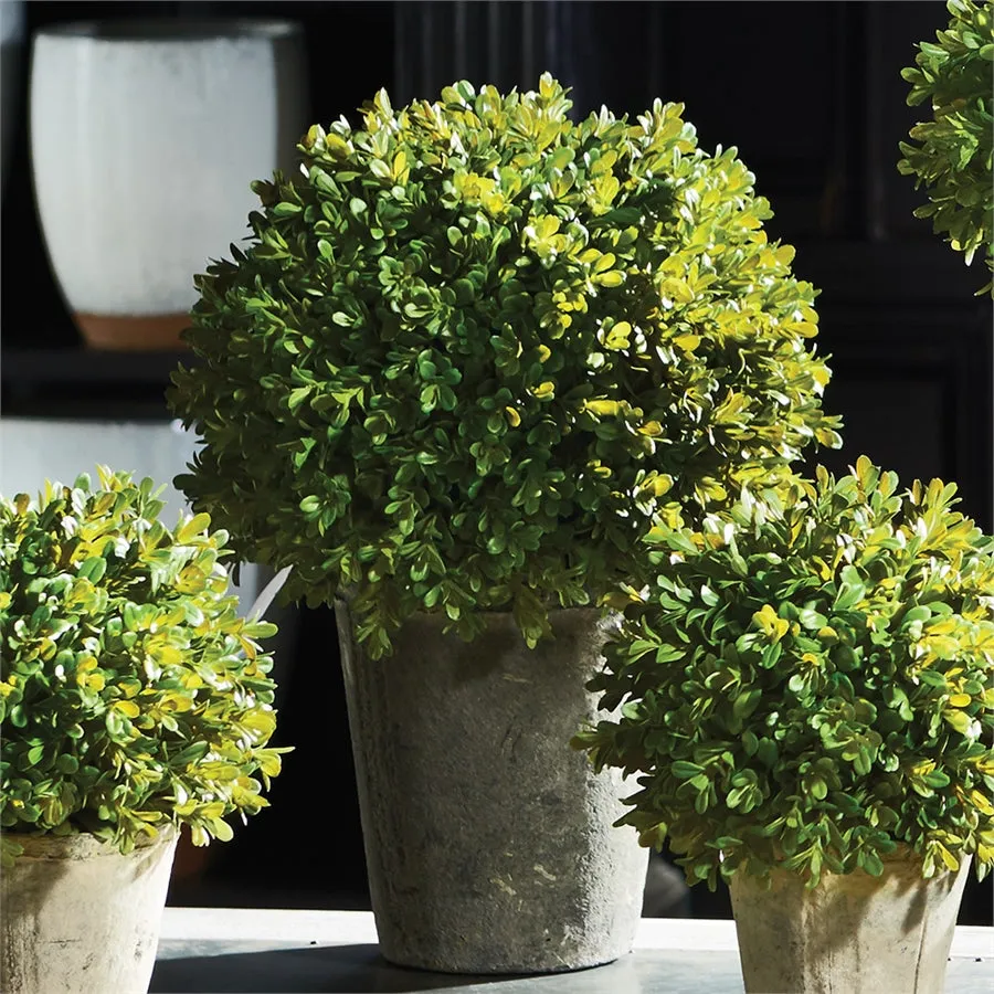 Napa Home Garden, BB FAUX BOXWOOD 13.5" SHRUB POTTED,cc261