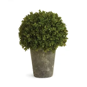 Napa Home Garden, BB FAUX BOXWOOD 13.5" SHRUB POTTED,cc261
