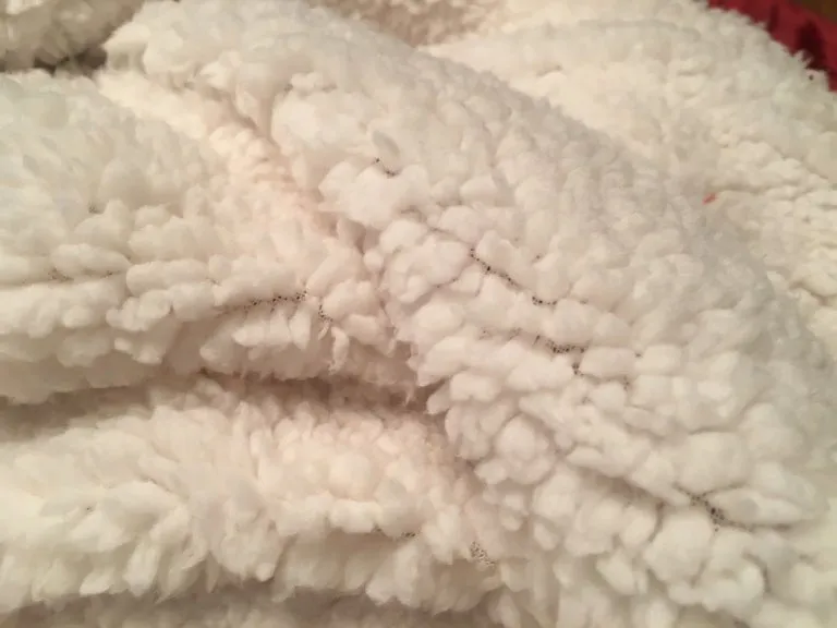 Phi Mu Delta Sherpa Lined Blanket - Chapter Name