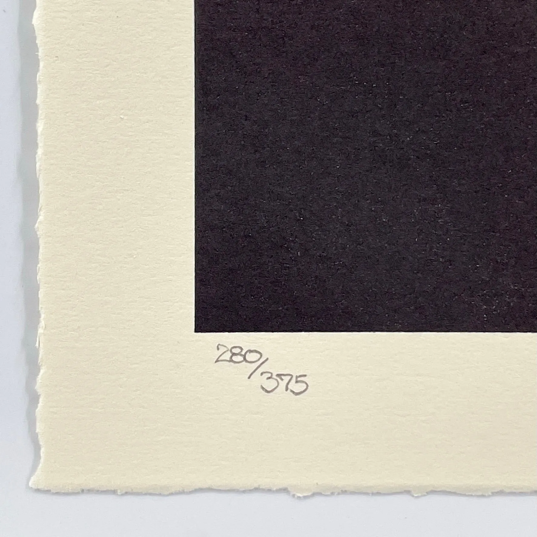 Post-Punk Flower (Black)