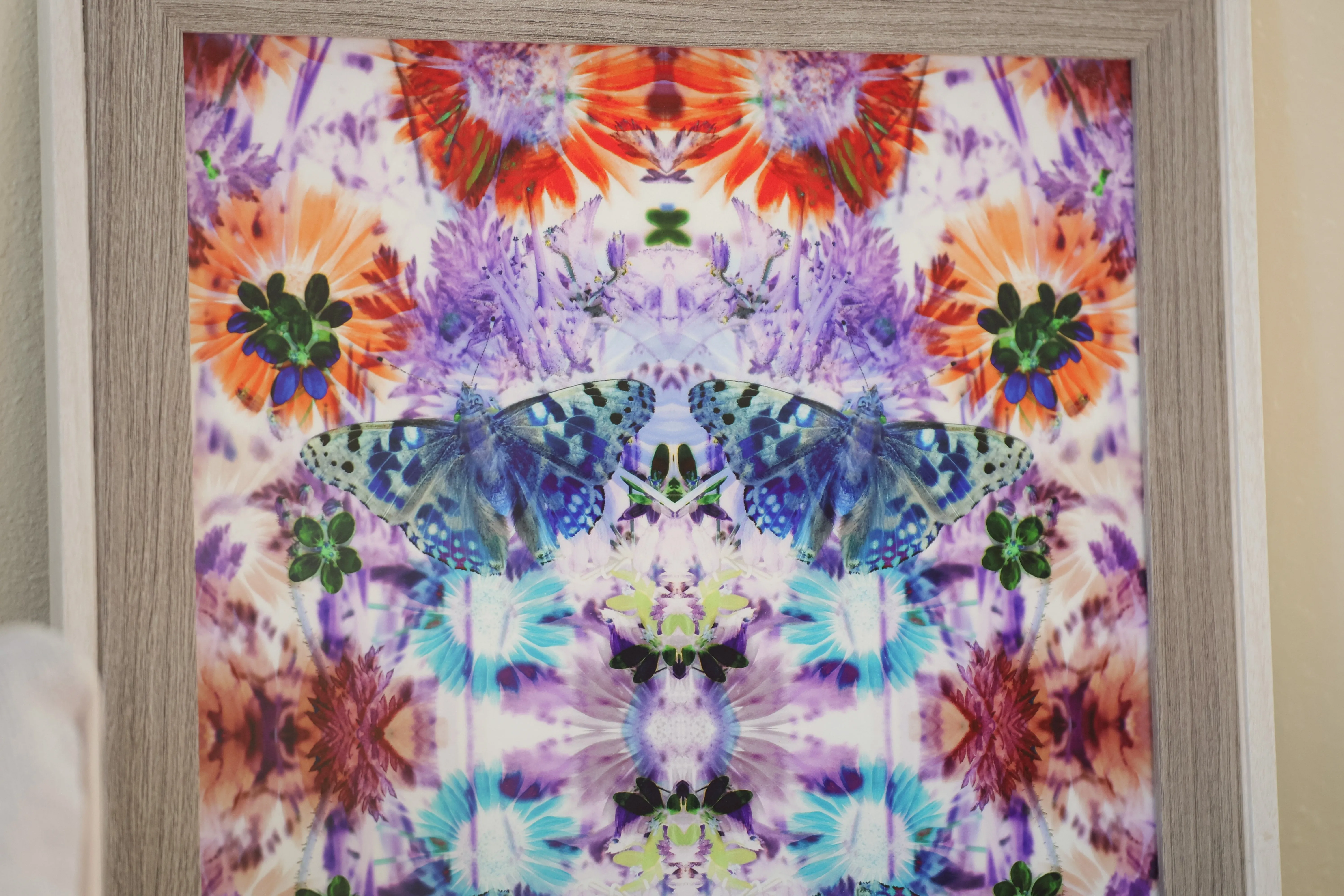 Retro Butterfly | Print
