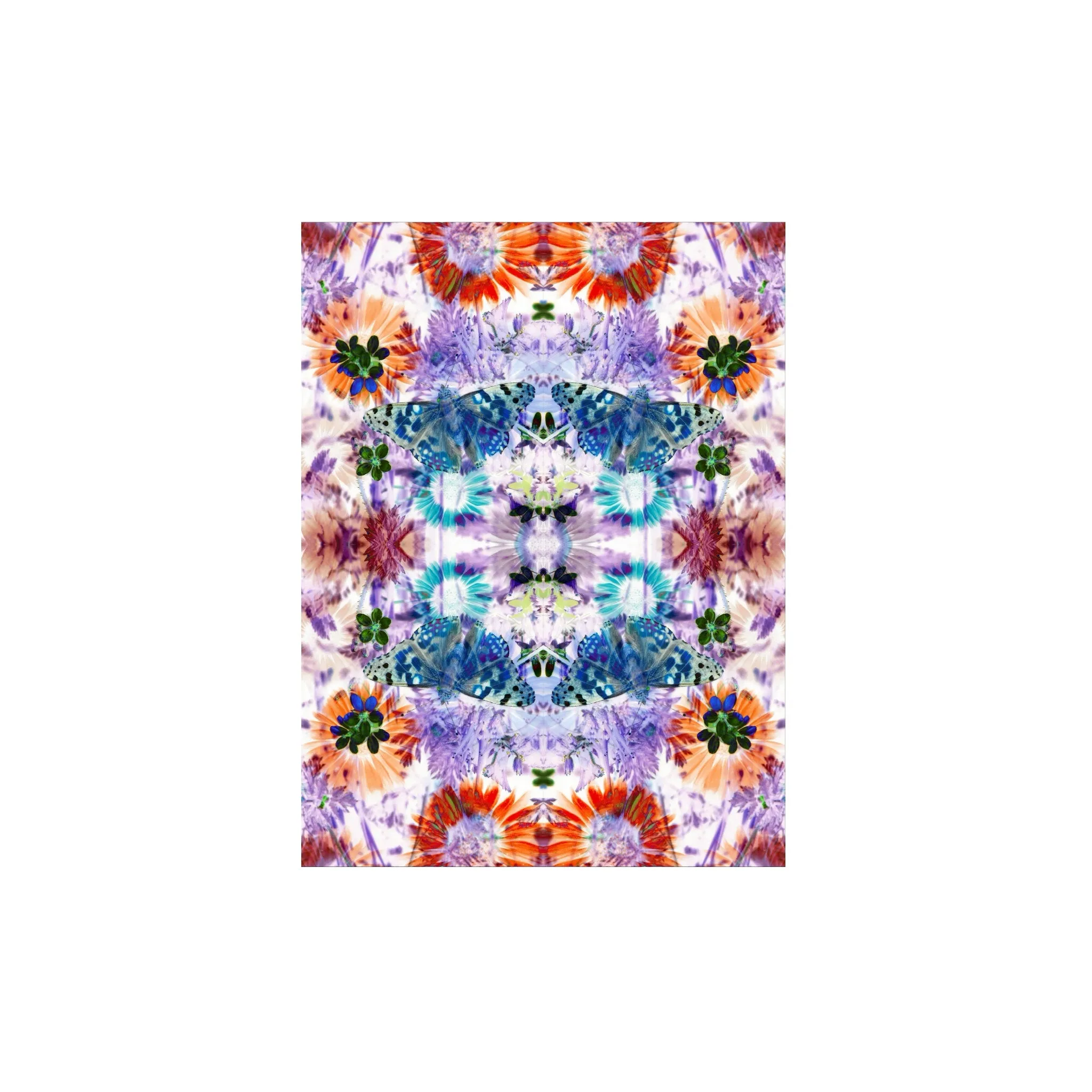 Retro Butterfly | Print