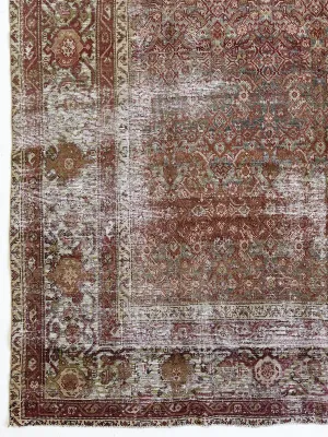Shebah, Heirloom