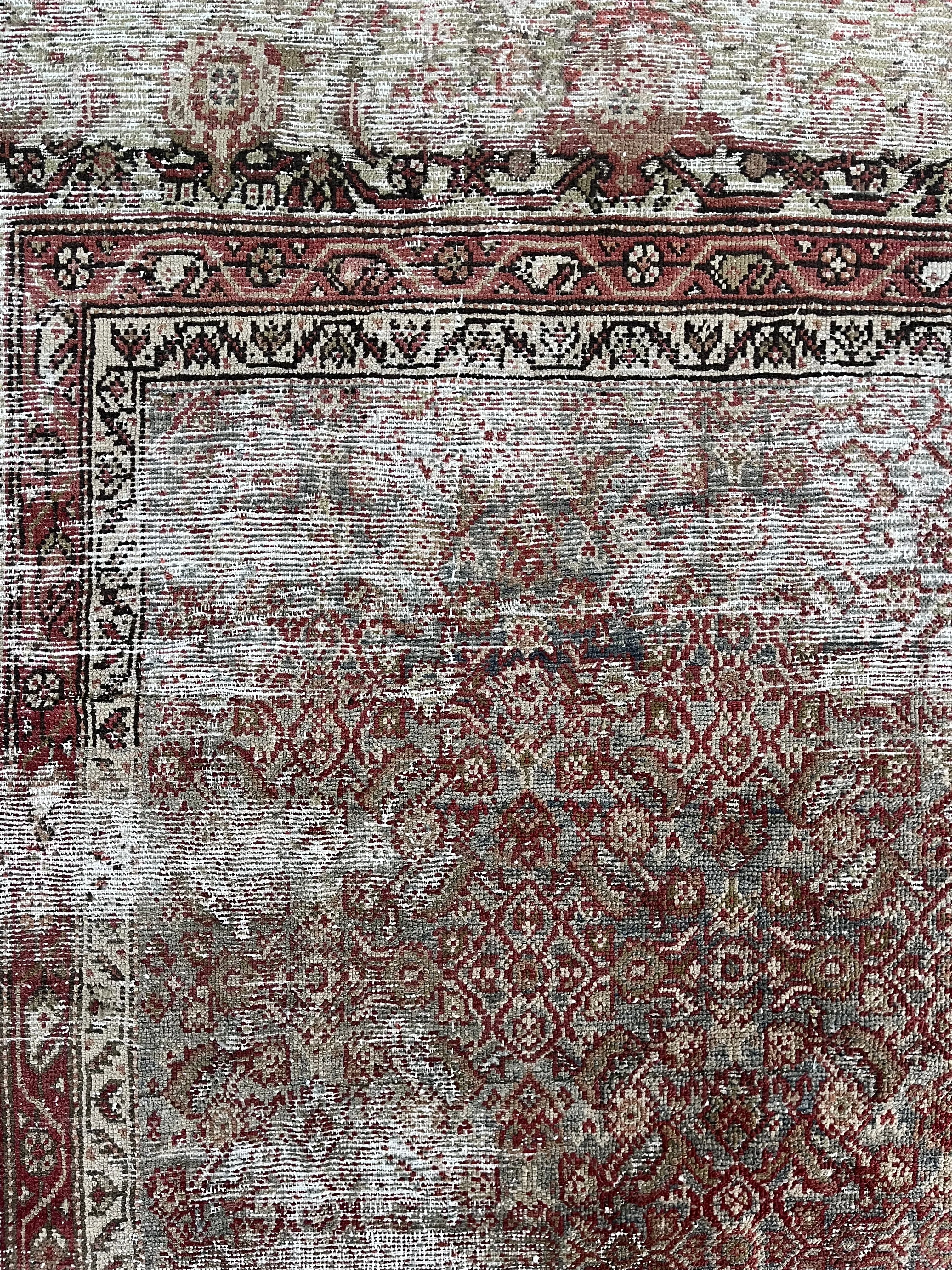 Shebah, Heirloom