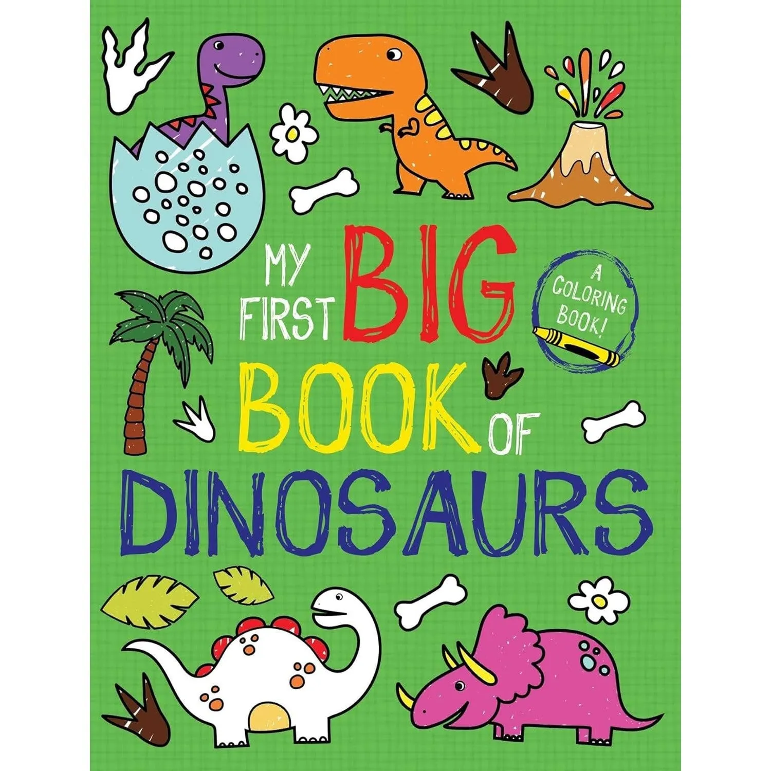 Simon & Schuster: My First Big Book of Dinosaurs (Paperback)